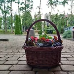 Trzy Swiaty & Wellness Rajska Wyspa 3* Gliwice