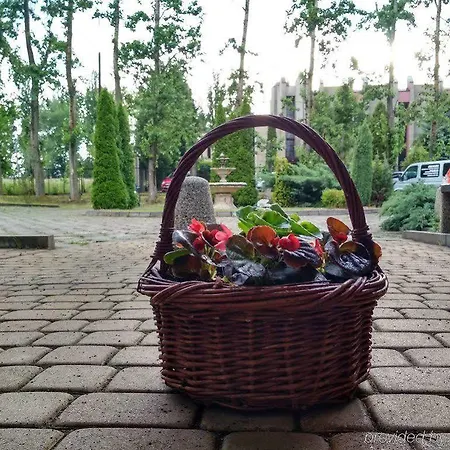 Trzy Swiaty & Wellness Rajska Wyspa 3* グリヴィツェ