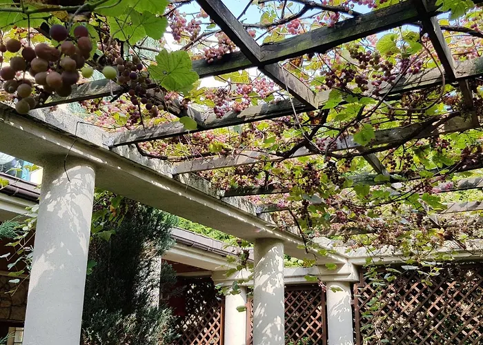 Trzy Swiaty & Wellness Rajska Wyspa 3*